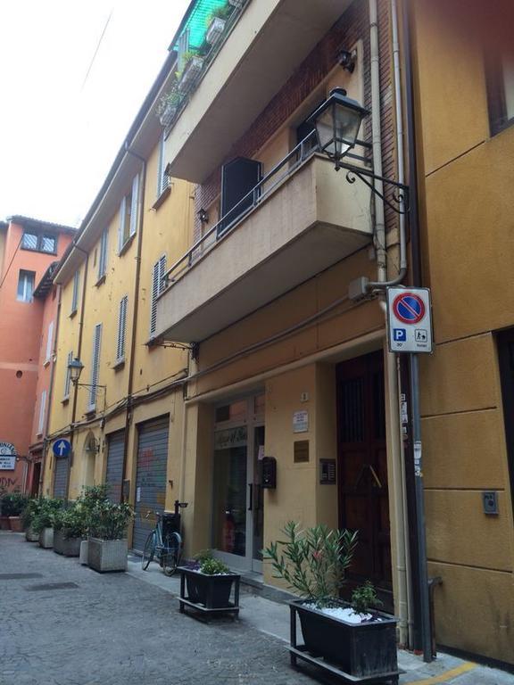 Dell'orso Bologna